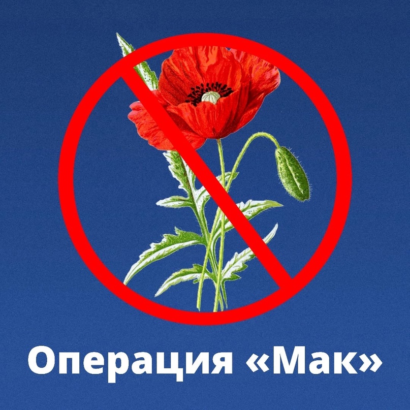 Оперативно-профилактическая операция «Мак-2026»