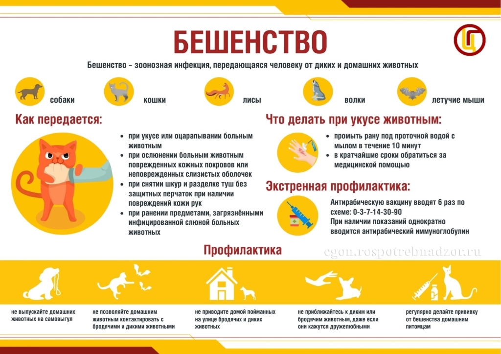 Профилактика Гидрофобии (Бешенство)